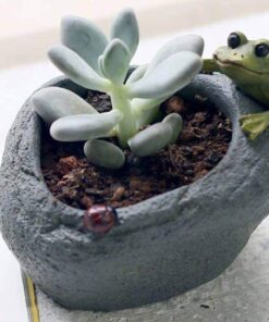 resin pot