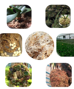 Sphagnum Moss Big Block (450 Gm)