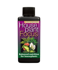 House Plant Focus 300 ML