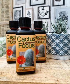 Cactus & Succulent Focus 300 ML
