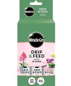 Miracle Gro Small Simple Drip Feed Orchid Food 3Pack