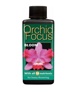 Orchid Focus Bloom 300ml